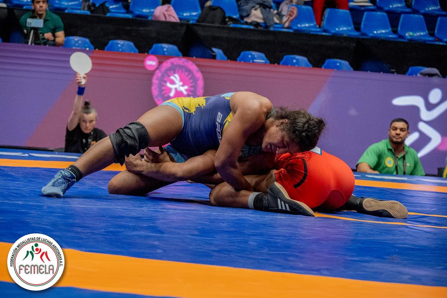 Thaís Tertuliano em combate 4